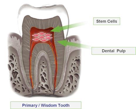 best dentist in Ashok Vihar