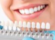 Zirconia Implants